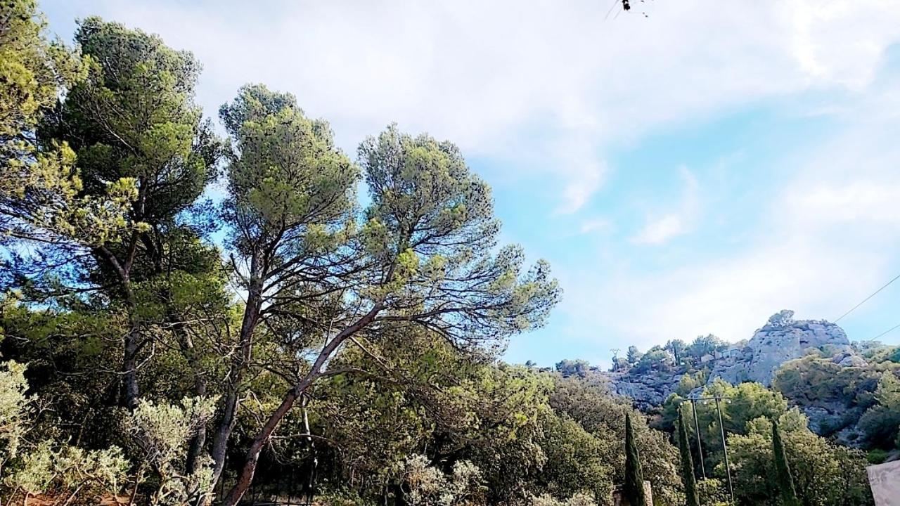 Maison Au Coeur De La Colline カヴァイヨン エクステリア 写真